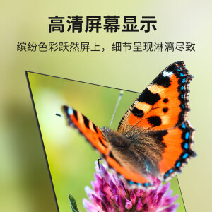 志高（CHIGO）55英寸智能WIFI网络液晶电...